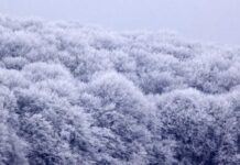 Синоптики сделали предупреждение: в Украине ночью похолодает до -19°