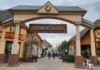 Староконный рынок в Одессе возобновляет работу