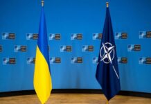 В Україні розпочався збір підписів під петицією до країн-членів НАТО