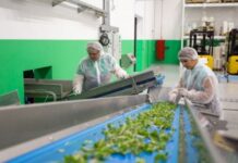 На какую зарплату могут рассчитывать украинцы за рубежом: советы для беженцев