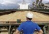 Россия заблокировала зерновые поставки из Украины морским путем: как решают проблему