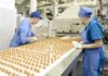 У Польщі жінкам-біженкам з України безкоштовно шукатимуть роботу: що треба знати