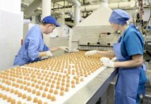 У Польщі жінкам-біженкам з України безкоштовно шукатимуть роботу: що треба знати