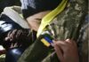 В результаті обміну звільнено 86 військовослужбовців ЗСУ — ОП