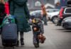 Вынужденные переселенцы могут получить помощь от государства: как подать заявку