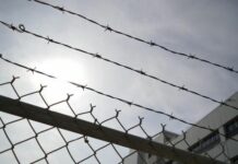 За втечу з України не посадять: Арахамія пояснив, чому не ухвалять закон про кримінальну відповідальність для чоловіків призовного віку, які залишили країну