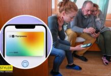 Как проверить статус выплат от международных организаций онлайн: простая инструкция