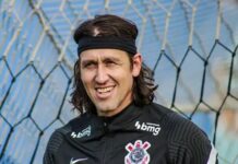 Не на того напав: відомий воротар майстерно вклав на газон агресивного фаната (відео)