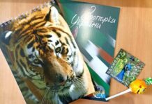 В Одесском зоопарке объявили результаты конкурса «Дай имя малышу-2022»: как назвали животных