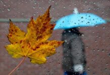 Пасмурно, но без холодов: какая погода будет в Одессе на следующей неделе