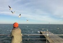 Тепло и без снега: какая погода будет в Одессе в январе