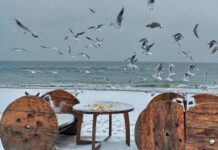 Гололед и санки: в Одессу пришла настоящая зима (фото)