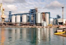 Кредитори намагаються захопити активи українського агрохолдингу GNT Group