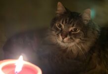 У некоторых одесситов ночью может пропасть свет