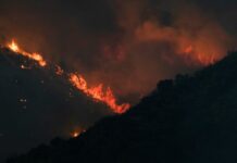 Іспанія у вогні: масштабну лісову пожежу не можуть погасити кілька днів