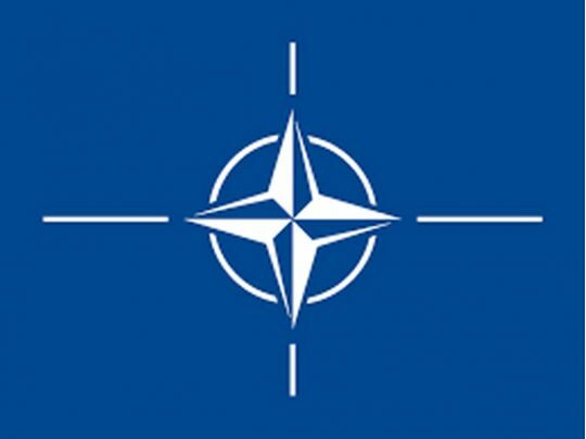 Україна не буде розчарована самітом НАТО, — президент Литви