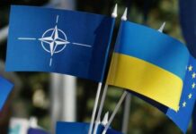 «Уникають будь-яких різких рухів»: Сергій Рахманін пояснив логіку НАТО щодо підтримки України