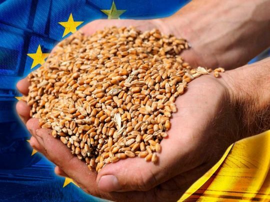 До&nbsp;схем з&nbsp;недоотриманням $&nbsp;140 млн податків зі&nbsp;схем з&nbsp;експортом зерна причетний Мінфін&nbsp;&mdash; ЦПК