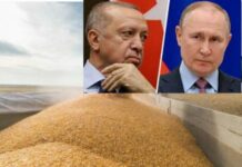 Послухався путіна: Ердоган звинуватив Захід у краху зернової угоди