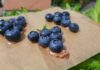 Шоколадний десерт із лохиною: готується дуже просто