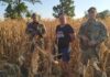 В Одесской области пограничники еашли нарушителя в кукурузе, а другого догнал служебный пес