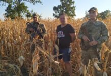 В Одесской области пограничники еашли нарушителя в кукурузе, а другого догнал служебный пес