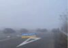 Масштабна ДТП на Полтавщині: через сильний туман зіткнулися близько 10 автомобілів (відео)
