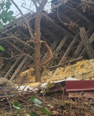 В Одессе обвалилась стена жилого дома на улице Болгарская: жильцам советуют съехать
