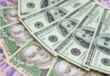 Множинних курсів не буде: глава НБУ зробив заяву щодо долара у 2024 році