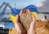 За тісної співпраці ЗСУ, ОП та Мінагро зерновий коридор став можливим, — міністр Сольський