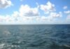 Токсины никуда не делисть: море в Одессе восстановилось, но есть нюанс