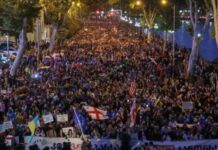 Грузия на перепутье: протесты против «закона об иностранном влиянии»