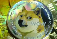 Прощание с Кабосу — собакой, вдохновившей мем «doge»