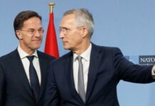 «Він близький друг»: Столтенберг назвав нідерландського прем’єр-міністра головним претендентом на посаду генсека НАТО