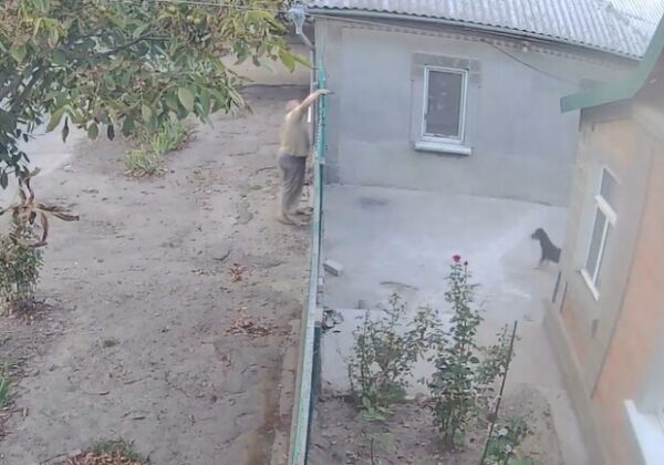 В Одесской области мужчина открыл стрельбу по собакам и угрожал оружием детям В Одесской области мужчина открыл стрельбу по собакам и угрожал оружием детям
