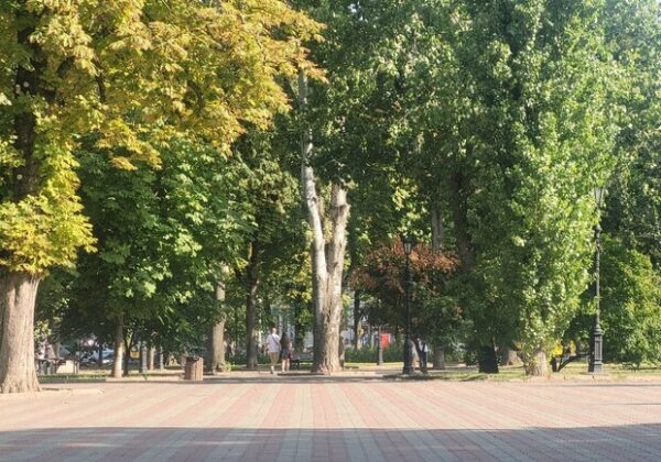 Иллюзион-шоу и спектакль "Путь в Вифлеем": куда пойти в Одессе в эти выходные