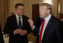 Когда деньги уже не радуют, хочется власти: Трамп обещает Маску должность в правительстве