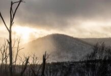 Спасение в Снежных горах: фотограф найдена живой после шести дней отсутствия