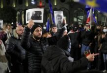 Протесты в Грузии: правительство приостановило евроинтеграцию