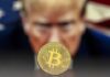 «Свинья в губной помаде»: стратегический резерв биткоина Трампа подвергся критике