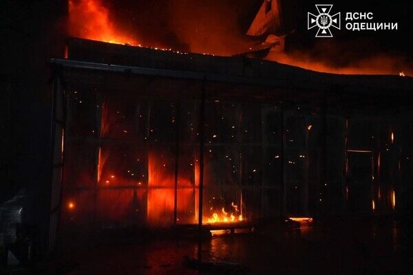 Пожары и пострадавшие в пригороде Одессы: последствия вечерней атаки БпЛА (обновлено)