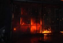 Пожары и пострадавшие в пригороде Одессы: последствия вечерней атаки БпЛА (обновлено)
