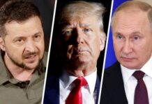 Трамп розчарований лідерами України та рф: у Білому дому зробили заяву