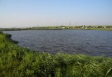 В Одесской области расторгли договор на расчистку русла реки Барабой: причина