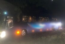 В Одесской области произошла авария с участием рейсового автобуса: в нем ехали 15 человек