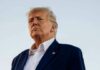 «Тільки вони знають деталі»: Трамп обіцяє переговори щодо України у Ватикані