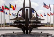 Вашингтон проти: США не хочуть бачити Зеленського на саміті НАТО