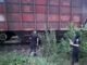 Залезла на крышу поезда: в Одесском районе травмировалась 13-летняя девочка