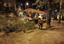 Деревопад, повреждение автомобилей и киоска: последствия ночного ненастья в Одессе