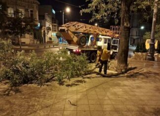 Деревопад, повреждение автомобилей и киоска: последствия ночного ненастья в Одессе